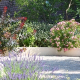 Des notes de couleurs jouent leur partition...